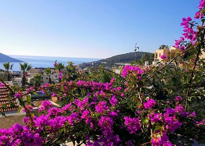 Vila Caretta Kalkan